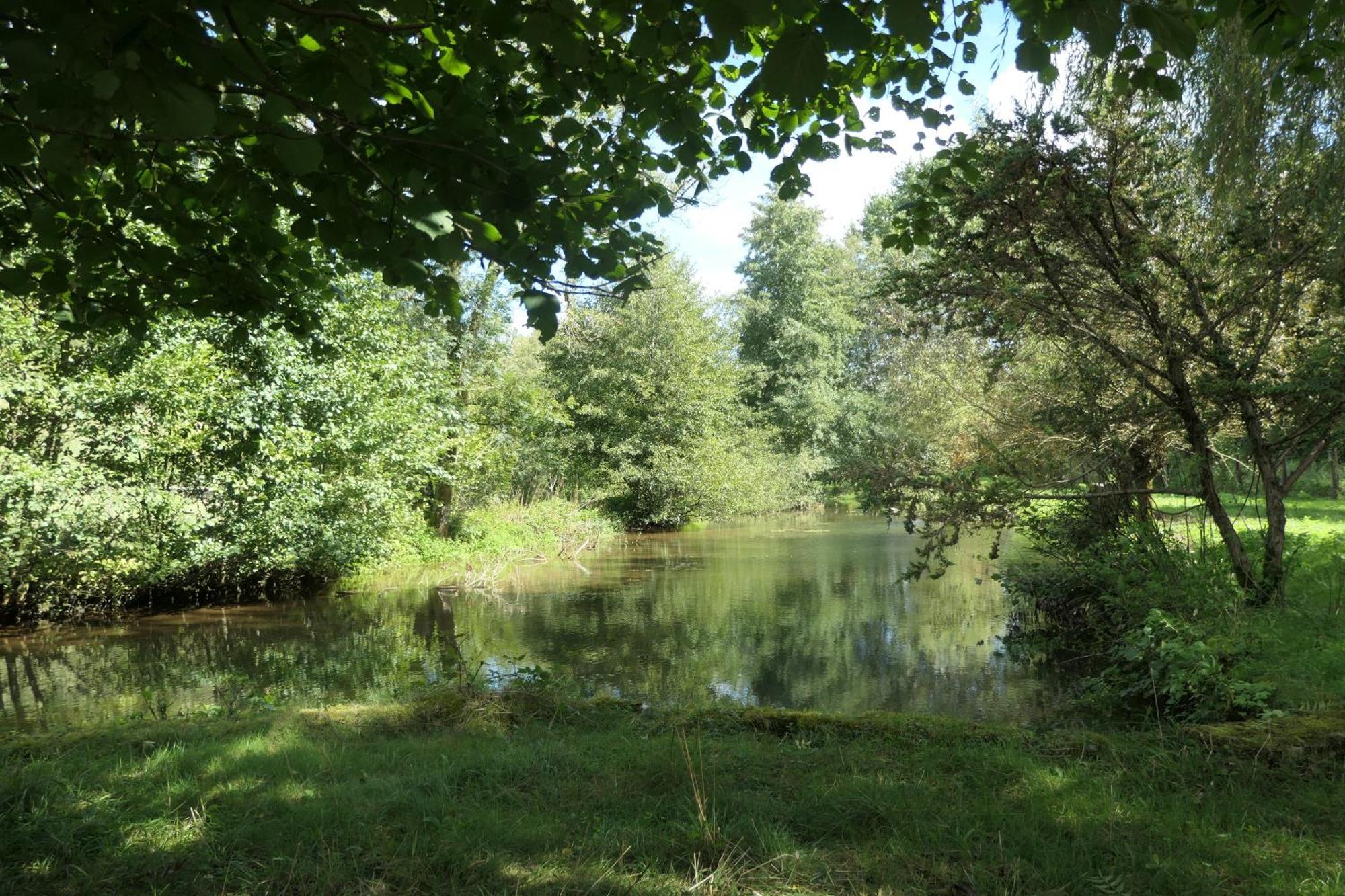 Le Moulin Aux Ecrevisses Bed and Breakfast Thonnance-lès-Joinville Exteriör bild